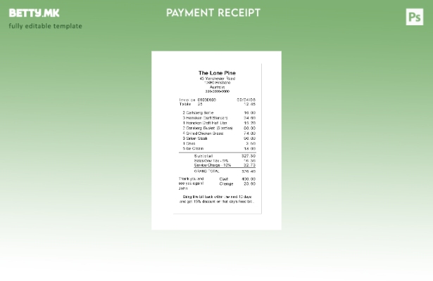 модерен стил на шаблонот за проверка на плаќање Lone Pine